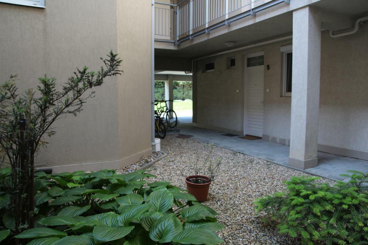 Apartment With Swing Хевиз Экстерьер фото